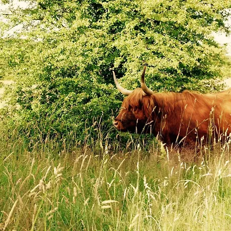 Hébergement de vacances Markerup - Grosszuegig Mit Kamin, Sauna & Spielhaus